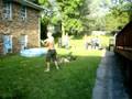 Fire Breathing Sweede Sig Tau