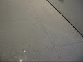 Dustball swirling at Seattle Art Museum