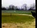 AUTEUIL