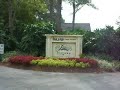 Island Golf Course Innisbrook
