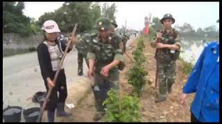 Trồng 500 cây hoa giấy tại xã Điền Công và phường Quang Trung