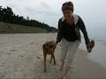 Rhodesian Ridgeback: Greenhorns - ?idi? tvrdý chleba má Rhodesian Ridgeback: Greenhorns - ?idi? tvrdý chleba má