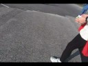 P.A.W.S 5K Run