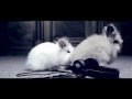 Havin Zagross & Alex Saja You Make My Heart Go Video and Lyrics