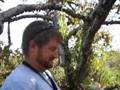 Know Your Roots: Apples at Stone Ridge Orchard