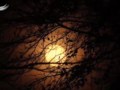 Full Moon.mov