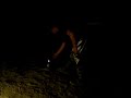 Desert Fireworks