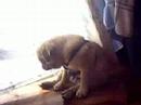 Titchy sleepy