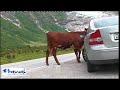 Norway - Sognefjord part 2