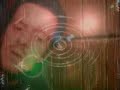 Rainbow on the Wall - A song by Alan Williams