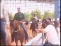 Claudia Carla ( Haras N.S de Lourdes/Jaguariúna Sp)