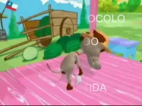 perro chocolo - EL PERRO CHOCOLO BAILANDO LA CONSENTIDA.