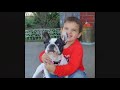 French   Bulldog -Foster Frenchie Lucy Lou