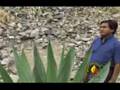 video maximo paitan 1