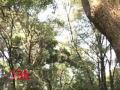 Destino Buenos Aires: Programa 8 de Abril 2012: Jardín Botánico de Buenos Aires