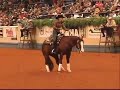 NRHA Futurity 2007 - Marcy Ver Meer - Open Reserve Champion