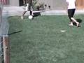 videos de boludeando en el patio 7