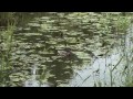 Deutschland - Lüdinghausen