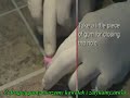 (S) Jak zrobi? krwist? gum? do ?ucia [ spryciarze.pl ]