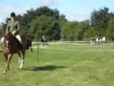 Felsted Horse Show 19th July 2008