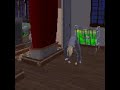 my sim or sims doing yoga my sim or sims doing yoga