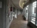 videos de Vue