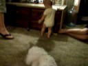 this baby loves belle's toy