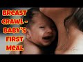 Breast Crawl - Baby's First Meal