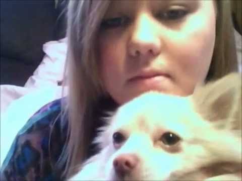 how to remove dog tear stains
