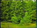 videos de Sudefg i Amona. Afsnit 1.