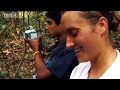 Tourists spread disease - Apes in Danger - BBC wildlife