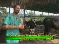 TIPS VETERINARIOS, Animal Sano.mpg