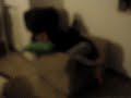 SCHERZO DIVERTENTE MENTRE UNA MIA AMICA DORME..XD