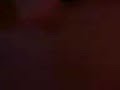 teamseduccion
