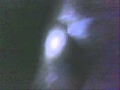 NINA Fantasma