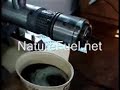 Oil press mashine Jatropha Palm Kernel Oil press mashine Jatropha Palm Kernel