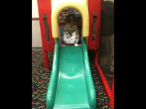 Adalin havin fun at chuky cheese on her b day
