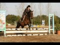 JV viideo.WMV JV viideo.WMV