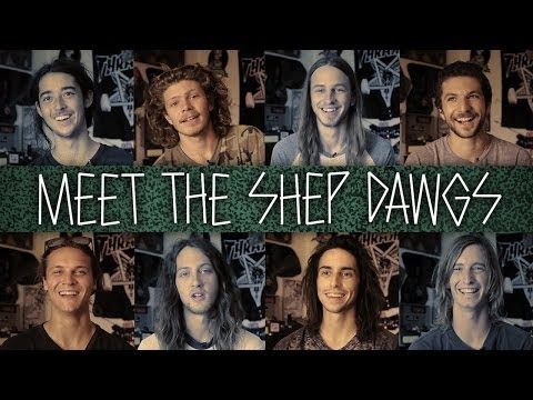 Meet THe Shep Dawgs