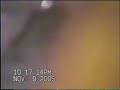 Alien baby (Fetus)?