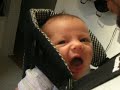 Baby Bjorn Dinner!