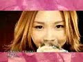 愛内里菜の薔薇が咲く 薔薇が散るにギターを入れてみました【misa】