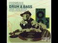 dj stekel-Surrender