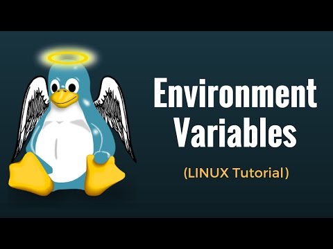 how to set environment variable in c