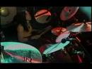 WILDFLAG - WILDLAND