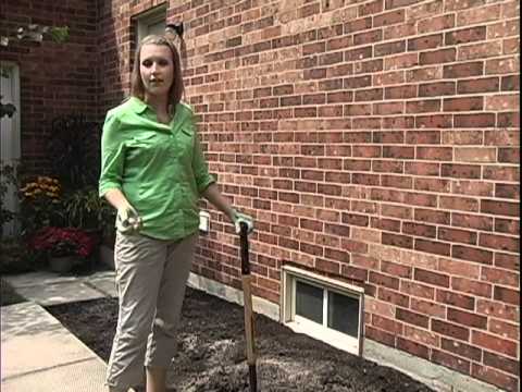 how to start your own vegetable patch