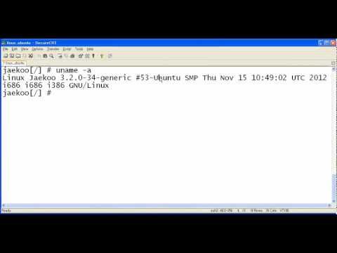 how to discover a new disk in linux