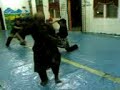 silat melayu lok 9