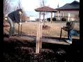 videos de Mikey Falling Off of Teeter Totter