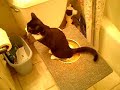 Tux peeing in the toilet